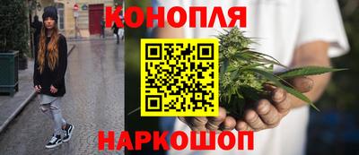 PSILOCYBIN Бугуруслан