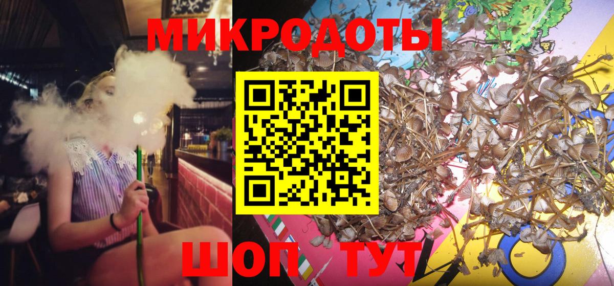 Псилоцибиновые грибы Cubensis  Вход с VPN  Узловая 