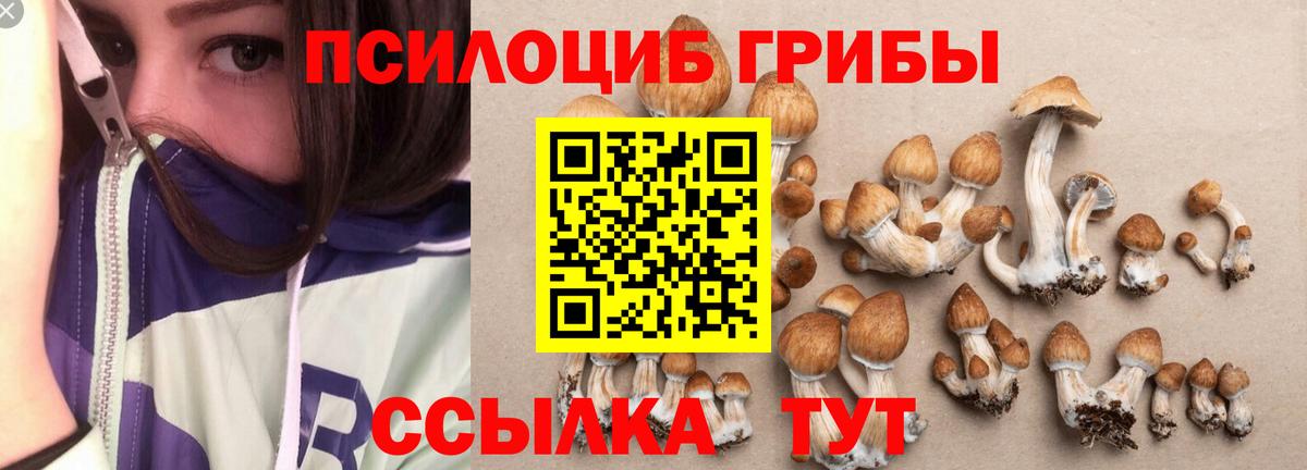 Галлюциногенные грибы GOLDEN TEACHER Узловая